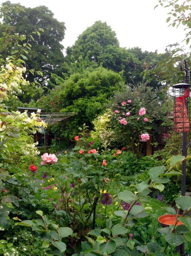 Hyacinth Bed & Breakfast Веллінґтон Екстер'єр фото